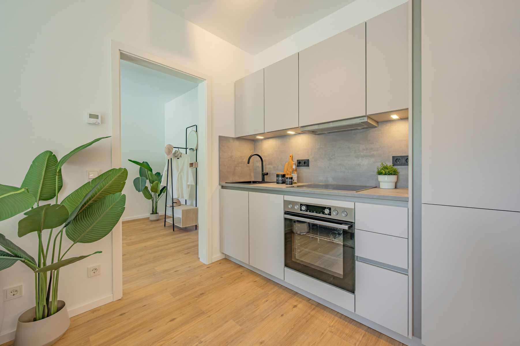 Helle, moderne Küche mit grauen Fronten, Holzfußboden und grüner Zimmerpflanze.