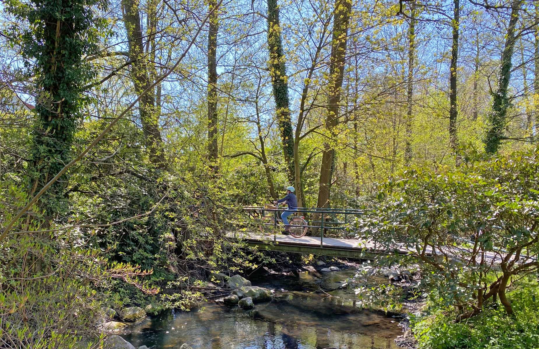 Person fährt Fahrrad über eine kleine Brücke in einem sonnigen, grünen Wald.