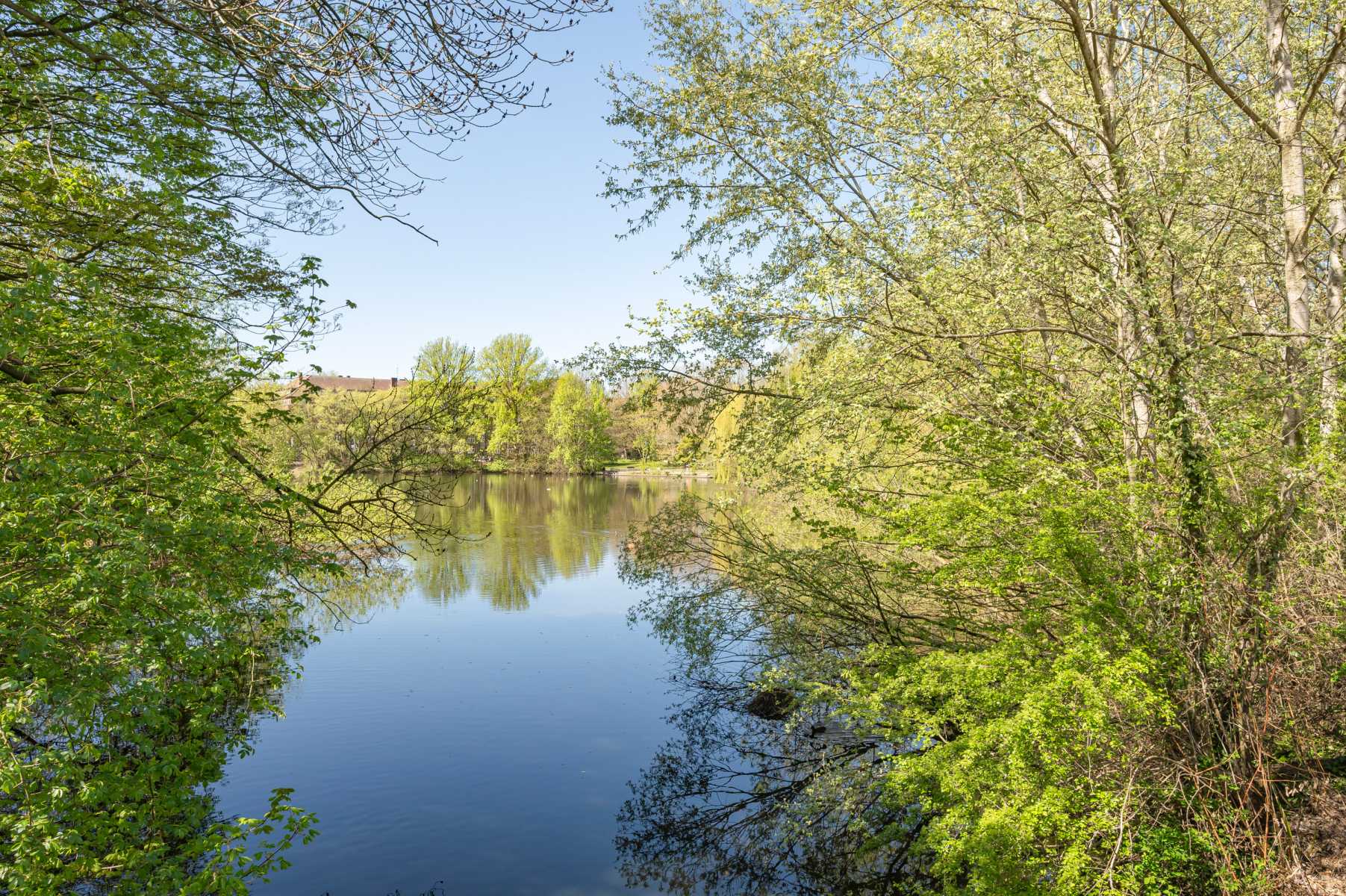 Grüner See von Bäumen umgeben unter blauem Himmel an einem sonnigen Tag.